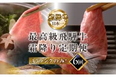 【定期便 6回】高級 飛騨牛食べ比べ 定期便 6カ月 毎月 【冷蔵配送】 定期 贈答 ギフト 牛肉 焼き肉 牛 下呂 焼肉 ブランド牛 下呂魚介 焼き肉　すき焼　しゃぶしゃぶ ステーキ サーロイン 肩ロース 霜降り