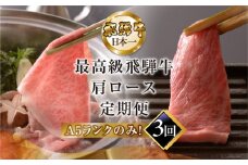 【定期便 3回】高級 飛騨牛食べ比べ 定期便 3カ月 毎月 【冷蔵配送】 定期 贈答 ギフト 牛肉 焼き肉 牛 下呂 焼肉 ブランド牛 下呂魚介 肩ロース すき焼き しゃぶしゃぶ 下呂市