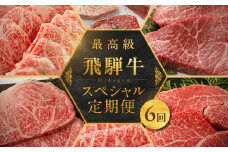 【定期便 6回】飛騨牛食べ尽くし定期便 6カ月（飛騨牛すき焼き 焼肉 ステーキ ）毎月 食べ比べ ギフト 牛 牛肉 下呂温泉 飛騨萩原畜産直売店【冷凍】