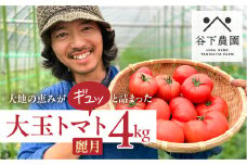 【期間限定】≪有機JAS認証≫地元下呂市の人気者！大地の恵みがぎゅーっと詰まった果肉が厚い 大玉トマト 約 4kg（サイズ混合）《飛騨下呂産》麗月 とまと 産地直送 4キロ 野菜 トマト