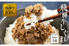 総本家新之助貝新 ×下呂魚介ＧＧシェフ 飛騨牛しぐれ　3個（100g×3）  牛しぐれ 牛肉  ブランド牛 牛 下呂市 GGシェフ 下呂魚介