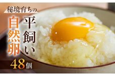 【数量限定】平飼い のびのびたまご 6個入り×8パック（計48個）常温発送（夏季は冷蔵発送） 卵 たまご 自然卵養鶏法 下呂市 