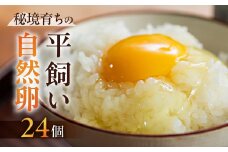 【数量限定】平飼い のびのびたまご 6個入り×4パック（計24個） 常温発送（夏季は冷蔵発送） 卵 たまご 自然卵養鶏法 下呂市