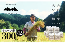 【令和6年産米】すがたらいす 山仙 (いのちの壱) キューブ米 12個 （1個 300g（2合））真空包装 プチギフト ギフト 小分け お裾分け 下呂市金山産 2024年産 お米 精米 米 いのちのいち やません ブランド米 