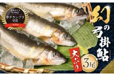 予約受付【期間限定】（2025年8月中旬頃から発送）幻の弓掛鮎　3尾以上 大型（1尾 約80g前後以上）計300g以上（まとめて真空）【冷凍パック】鮎 あゆ アユ ゆがけ 下呂市 金山 クラブハウス馬瀬川
