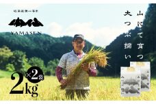新米予約受付【令和7年産米】（2025年10月下旬頃から順次発送）すがたらいす 山仙 (いのちの壱) 2kg×2袋 すがたらいす 下呂市金山産 4キロ  米 2025年産 お米 精米 米 いのちのいち やません