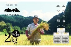 新米予約受付【令和7年産米】（2025年10月下旬頃から順次発送）すがたらいす 山仙 (いのちの壱) 2kg×3袋 すがたらいす 下呂市金山産 6キロ  米 2025年産 お米 精米 米 いのちのいち やません