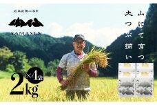 新米予約受付【令和7年産米】（2025年10月下旬頃から順次発送）すがたらいす 山仙 (いのちの壱) 2kg×4袋 すがたらいす 下呂市金山産 8キロ  米 2025年産 お米 精米 米 いのちのいち やません