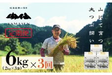 新米予約受付 令和7年産米【定期便】山仙（いのちの壱）【2kg×3袋（6kg）×3回】 すがたらいす 下呂市金山産 2025年産 毎月 6キロ×3カ月 お米 精米 下呂温泉 下呂市 米 ブランド米