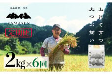 新米予約受付 令和7年産米【定期便】山仙（いのちの壱）2kg×6回 すがたらいす 下呂市金山産 2025年産 毎月 2キロ×6カ月 お米 精米 下呂温泉 下呂市 米 ブランド米