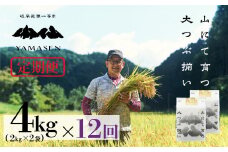 新米予約受付 令和7年産米【定期便】山仙（いのちの壱）【2kg×2袋（4kg）×12回】 すがたらいす 下呂市金山産 2025年産 毎月 4キロ×12カ月 お米 精米 下呂温泉 下呂市 米 ブランド米