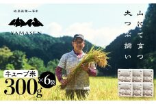 新米予約受付【令和7年産米】（2025年10月下旬頃から順次発送）すがたらいす 山仙 (いのちの壱) キューブ米 6個 （1個 300g（2合））真空包装 プチギフト ギフト 小分け お裾分け 下呂市金山産 2025年産 お米 精米 米 いのちのいち やません ブランド米 