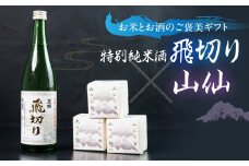 天領酒造 特別純米酒飛切り 720ml 1本・山仙キューブ米3個（1個 300g）セット 純米吟醸 天領 酒 日本酒 米 ギフト いのちの壱 山仙 贈答 下呂市