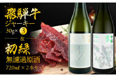 【飛騨 味職人】飛騨牛 干し肉ビーフジャーキー (30g×3箱)と【初緑】 無濾過原酒2種セット(720ml×各1本) お酒 日本酒 純米吟醸 奥飛騨酒造 おさだ食品 おつまみ 晩酌 ギフト 下呂温泉