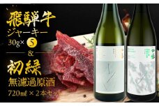 【飛騨 味職人】飛騨牛 干し肉ビーフジャーキー (30g×5箱)と【初緑】 無濾過原酒2種セット(720ml×各1本) お酒 日本酒 純米吟醸 奥飛騨酒造 おさだ食品 おつまみ 晩酌 ギフト 下呂温泉