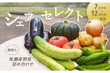 ＼産地直送／朝採れ!! 旬の野菜SET 『シェフセレクト』8～10品目（発送時期:2025年7月中旬から12月中旬まで） 旬 期間限定 収穫 旬野菜 詰合せ  野菜 セット 【日本で最も美しい村 馬瀬産】下呂温泉