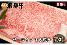 【2025年12月発送】A5飛騨牛 サーロインすき焼き 730g【冷凍】冷凍配送  サーロイン 飛騨牛 下呂温泉 おすすめ 牛肉 肉 和牛 赤身 人気 ブランド牛 肉ギフト 国産 贈答品 すき焼き用 すきやき ギフト 和牛 50000円