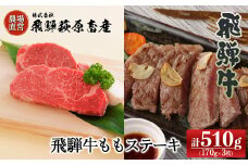 【2025年9月発送】飛騨牛ももステーキ  170g×3枚　 牛肉 国産 ブランド牛 赤身 モモ ステーキ 高級 牛 飛騨牛 飛騨萩原畜産【冷凍】