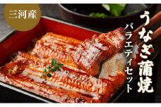 [№5533-0029]うなぎ蒲焼バラエティセット（三河産）
