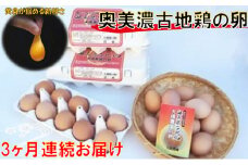 [№5533-0027]神代の味の再現　奥美濃古地鶏の卵【3ケ月連続お届け】