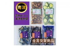[№5533-0039]海津　なすびや特選漬物セットと海津産野菜