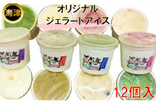 [№5533-0067]オリジナルジェラートアイス12個セット