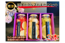 [№5533-0136]満天ピクルスおまかせ3本セット