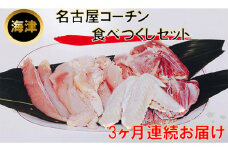 [№5533-0188]【3ヶ月連続お届け】名古屋コーチン もも・むね・ささみ合計2.4kg +手羽先6本