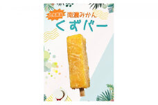 [№5533-0191]くずバー南濃みかん12本セットC