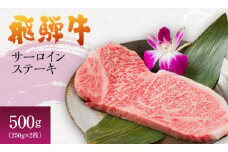 [№5533-0222]岐阜県海津市産 飛騨牛サーロインステーキ(250g×2枚)
