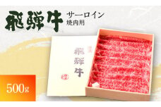 [№5533-0224]岐阜県海津市産 飛騨牛サーロイン　焼き肉用500g