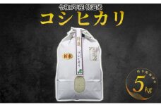[№5533-0228]【期間限定】新米！特選米コシヒカリ（5kg）