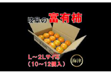 [№5533-0232]岐阜の富有柿3.5kg（10個～12個入）