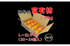 [№5533-0233]岐阜の富有柿7.0kg（20個～24個入）