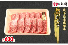 [№5533-0268]【飛騨牛】希少部位（三角バラ）焼肉セット600g