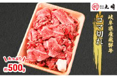 [№5533-0269]【飛騨牛】コマ切れ　たっぷり500g