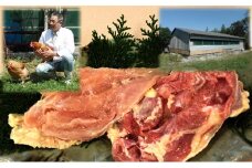 [№5533-0296]神代の味 奥美濃古地鶏肉セット