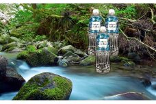 [№5533-0297]四季の恵み天然水 550ml　48本セット