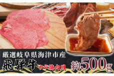 [№5533-0309]【飛騨牛】海津市産ウデ焼肉オリジナルカット 【配達不可：離島】