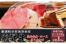 [№5533-0310]【飛騨牛】海津市産焼肉赤身・ロース盛り合わせオリジナルカット 【配達不可：離島】
