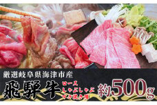 [№5533-0315]【飛騨牛】海津市産ロースしゃぶしゃぶすき焼き用スライス 【配達不可：離島】