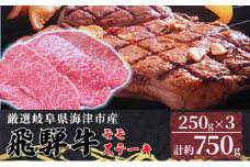 [№5533-0316]【飛騨牛】海津市産モモステーキ250g×3 【配達不可：離島】