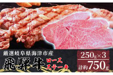 [№5533-0317]【飛騨牛】海津市産ロースステーキ250g×3 【配達不可：離島】