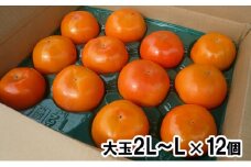[№5533-0324]高糖度富有柿　大玉2L～L × 12個