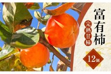 [№5533-0324]ハリヨファームの 富有柿 （完熟甘柿） 12個　柿 完熟 甘柿 果物 果実 秋の味覚 フルーツ おやつ デザート 旬 除草剤不使用 有機肥料使用 国産 岐阜県産 産地直送 