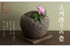 [№5533-0335]三川作りの壺