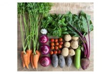 [№5533-0340]季節の野菜セット【栽培期間中　無農薬、無科学肥料】
