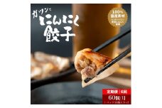 [№5533-0375]【6か月定期便】発芽にんにく餃子30個入り2パック　餃子 にんにく にんにくたっぷり 国産にんにく 発芽にんにく 冷凍 臭わない 栄養価抜群 スタミナ 免疫アップ おつまみ おかず 総菜 餃子専門店 工場直売 定期便