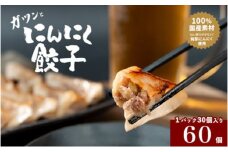 [№5533-0382]発芽にんにく餃子30個入り2パック　餃子 にんにく にんにくたっぷり 国産にんにく 発芽にんにく 冷凍 臭わない 栄養価抜群 スタミナ 免疫アップ おつまみ おかず 総菜 餃子専門店 ぎょうざ 工場直売 大量 まとめ買い