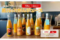 [№5533-0386] 年4回定期便　海津っ子想い出の味　最高のみかんジュース　6本セットｘ4回